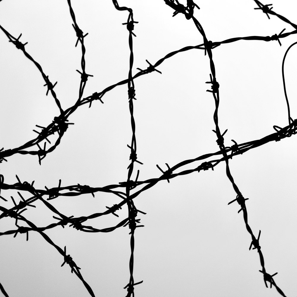 Double Strand Barbed Wire 500m Coil